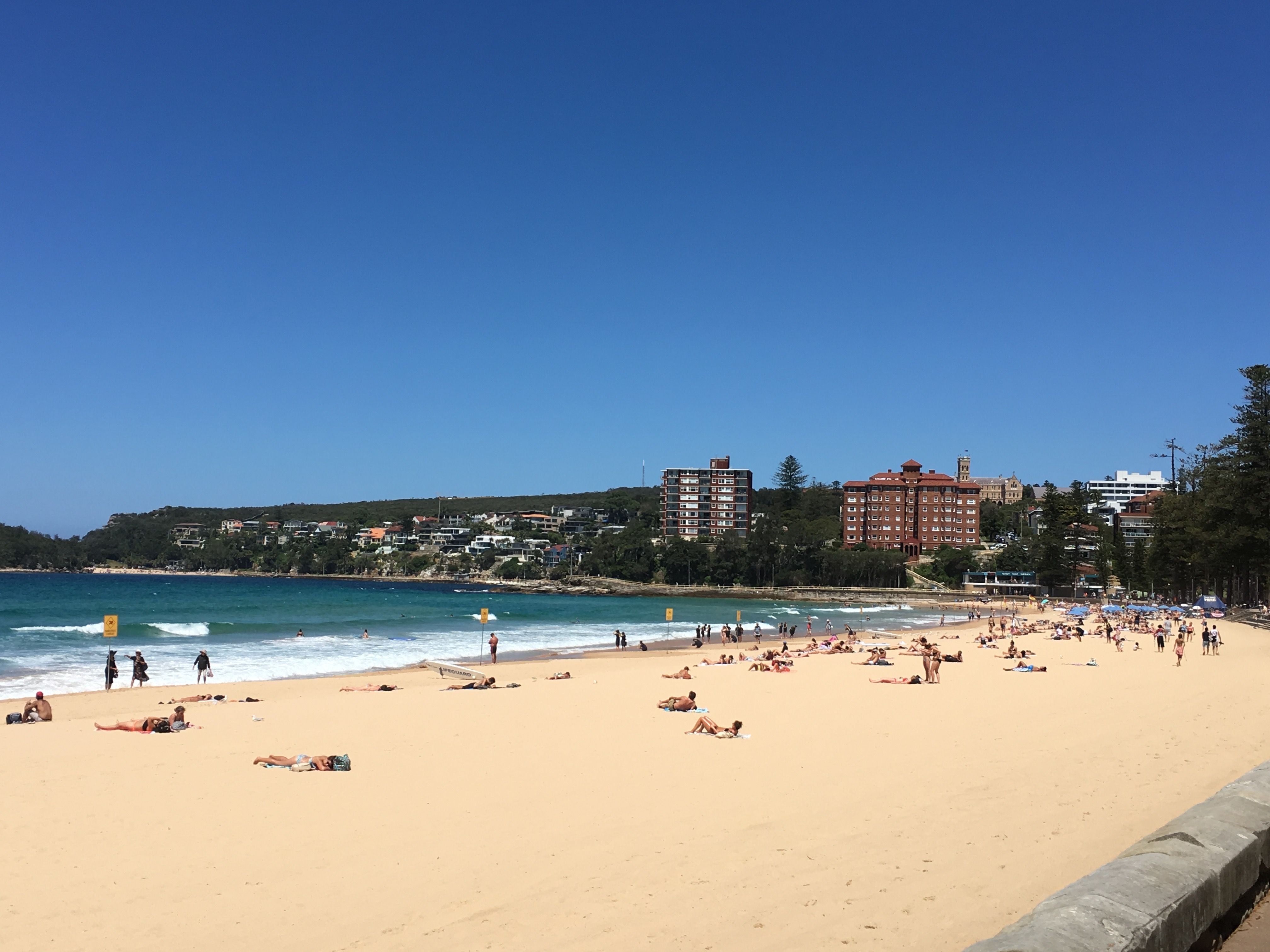 Northern Beaches Public Day Tour febuary 2019 Image -5c649676cbd26